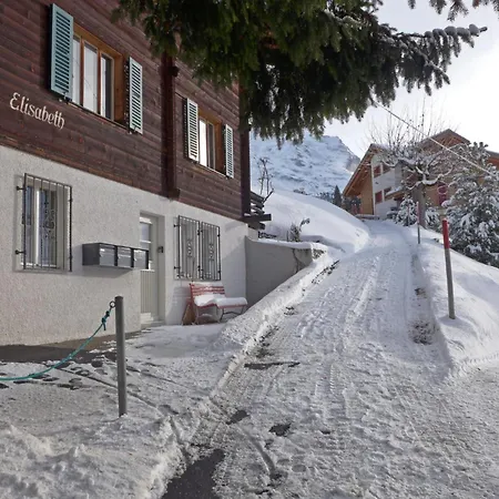 Apartamento Elisabeth By Interhome Wengen