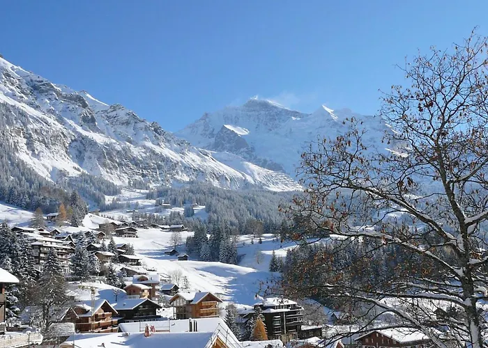 Elisabeth By Interhome Daire Wengen
