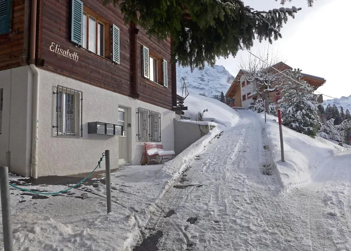 Daire Elisabeth By Interhome Wengen