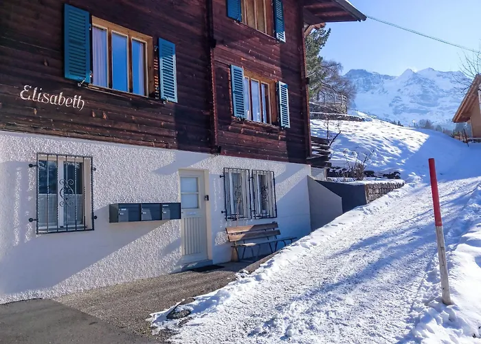 Elisabeth By Interhome Wengen